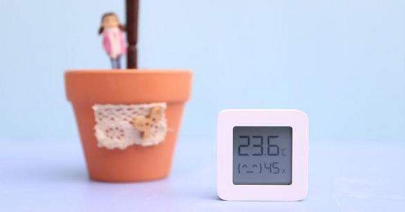 Xiaomi Mijia Bluetooth Thermometer 2 