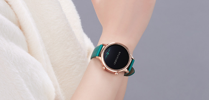 Xiaomi TicWatch Palace Museum Smartwatch